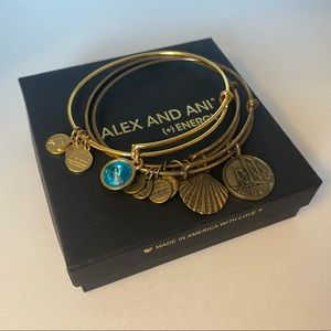 Alex and Ani (+) Energy bracelets